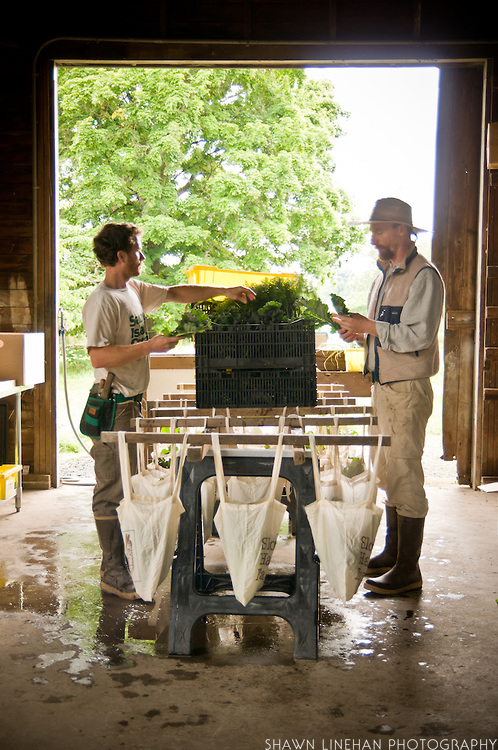 Josh Volk of Slow Hand Farm - copyright Shawn Linehan